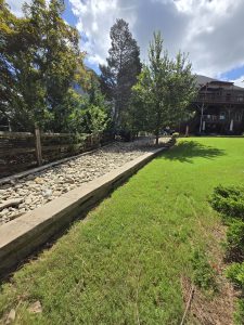 Omar's Hauling Client Provided (1)